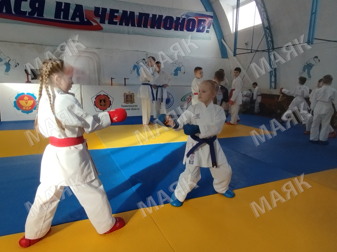 В Новозыбкове подвели итоги Открытого Первенства по каратэ