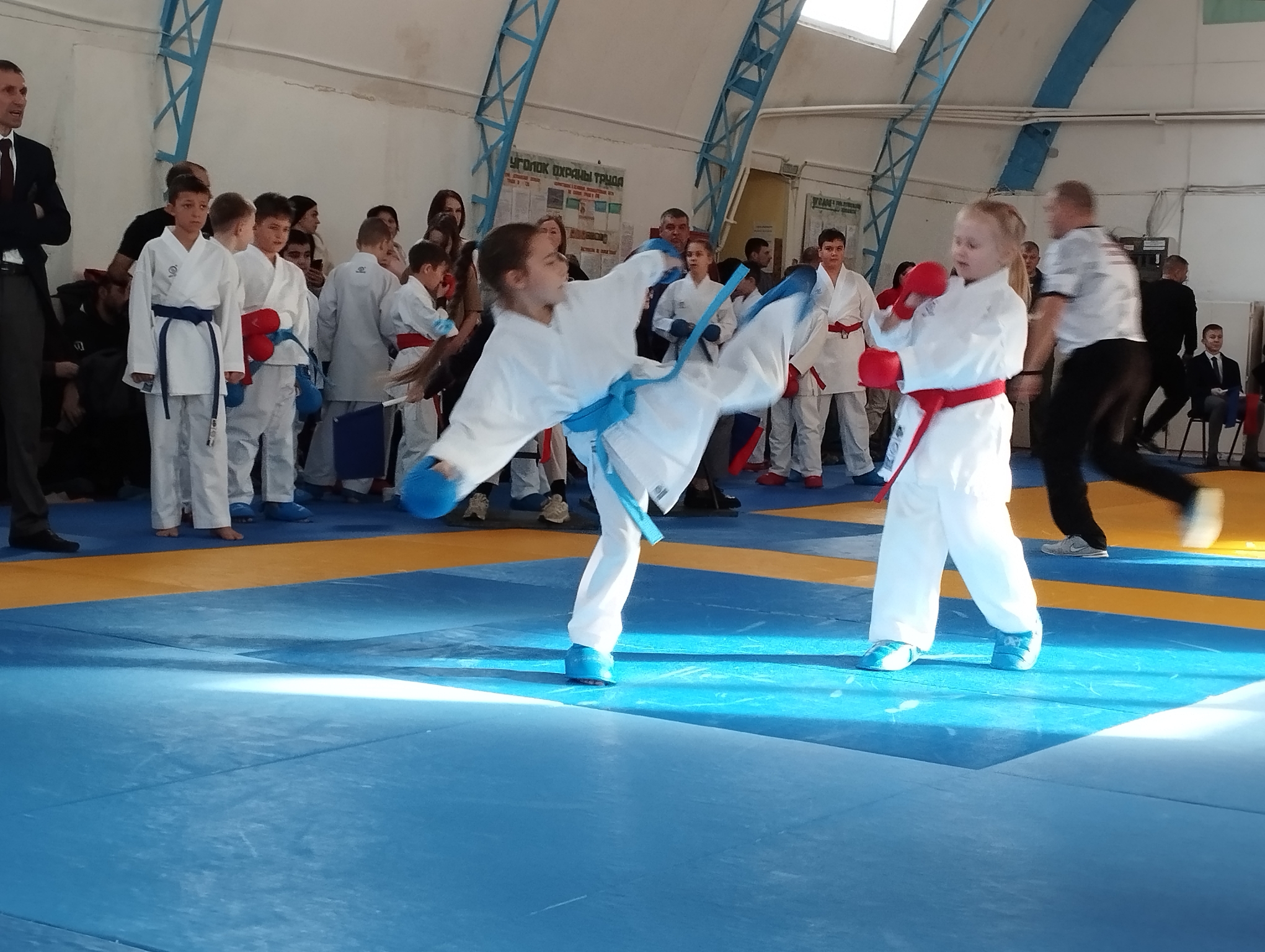 Новозыбков принимает Открытое Первенство округа по каратэ