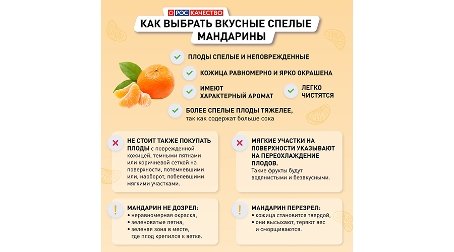 Новозыбковцев консультирует специалист