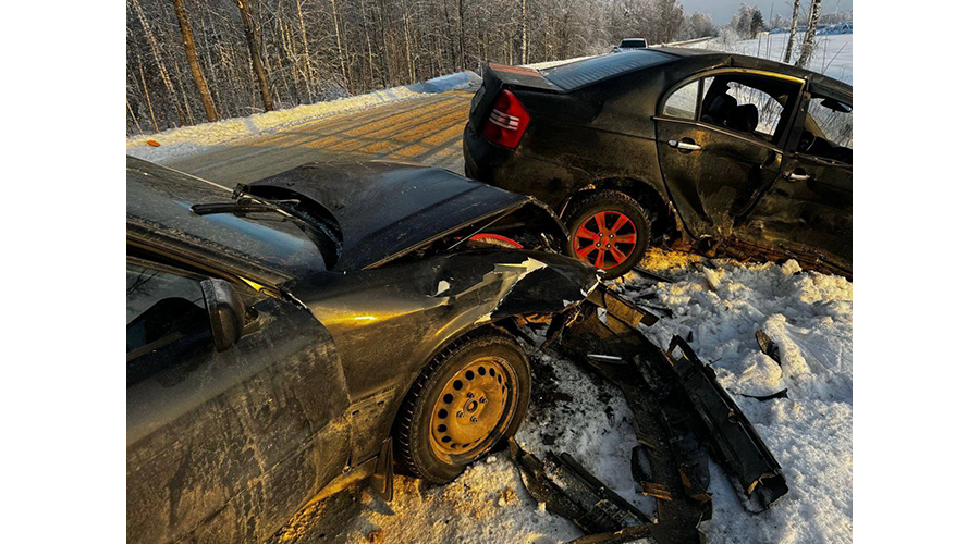 Новозыбковские медики борются за жизнь попавшей в ДТП жительницы Злынковского района