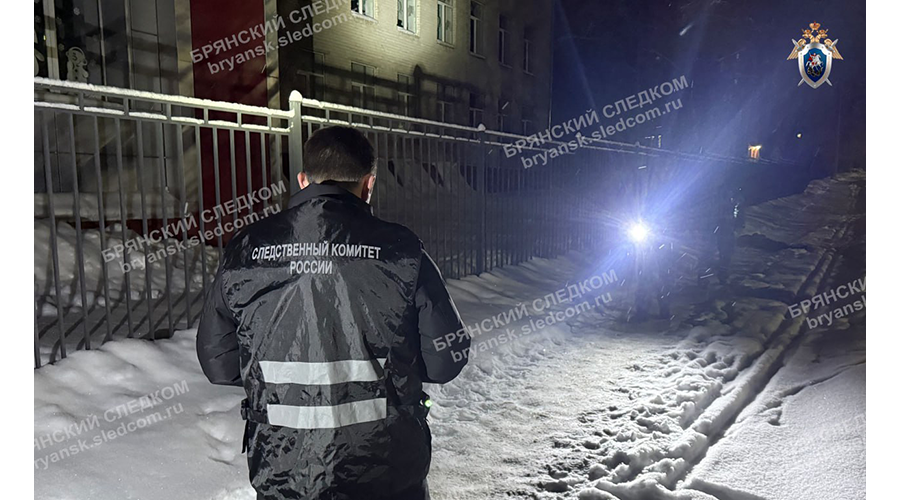 Несовершеннолетний житель города Новозыбкова, обвиняемый в убийстве, заключен под стражу