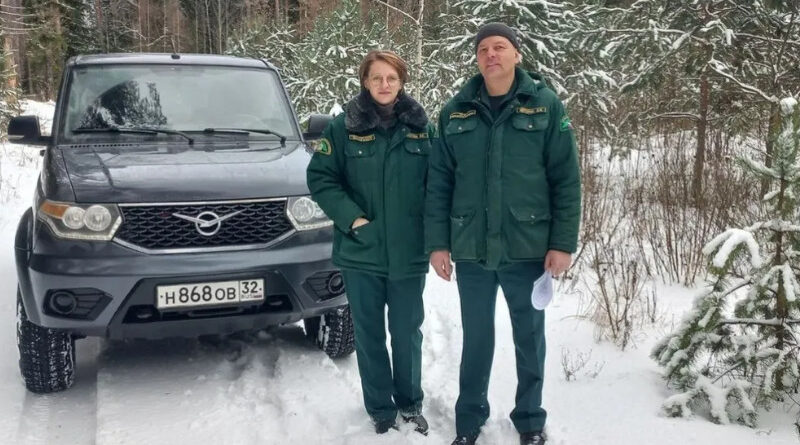 В Брянской области подвели итоги охраны новогодних елей и сосен