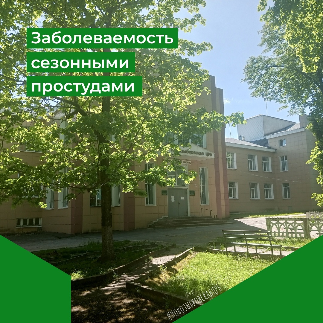 В Новозыбкове отмечают снижение заболеваемости