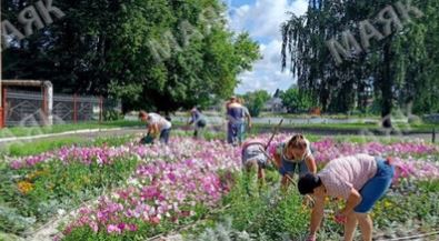 В Новозыбкове пропалывают городские клумбы
