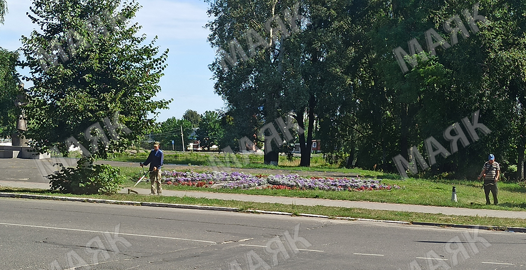 В Новозыбкове продолжается покос травы