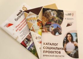 В Брянске пройдет обучение для социальных предпринимателей области