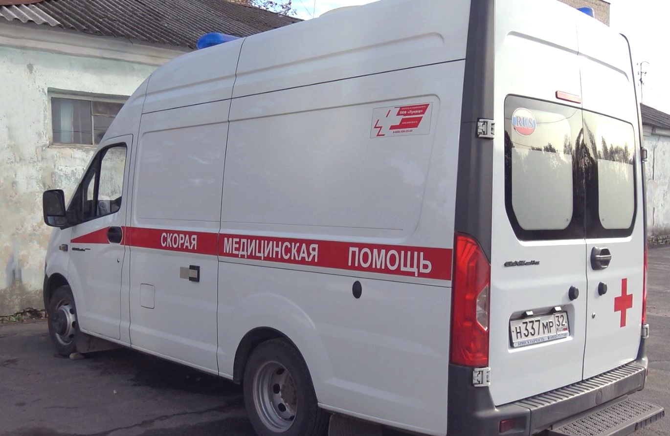 В Новозыбкове ребенка укусила собака