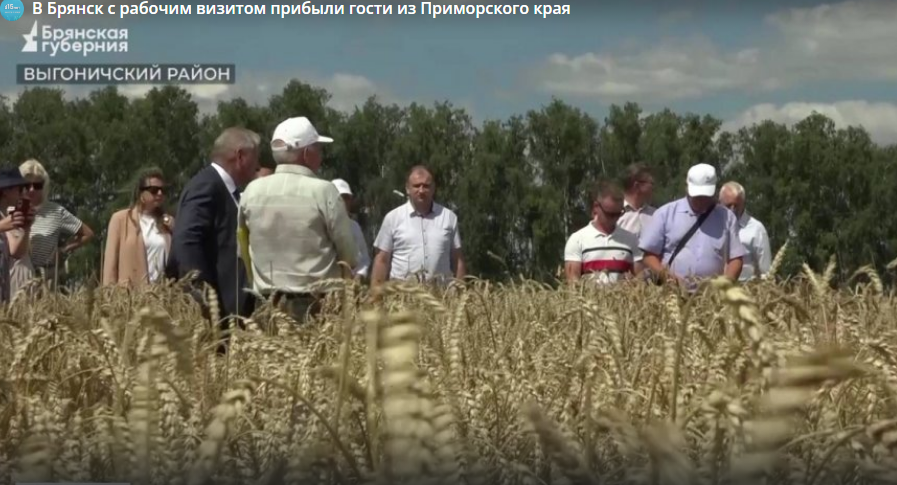 Брянск с рабочим визитом посетила делегация из Приморского края