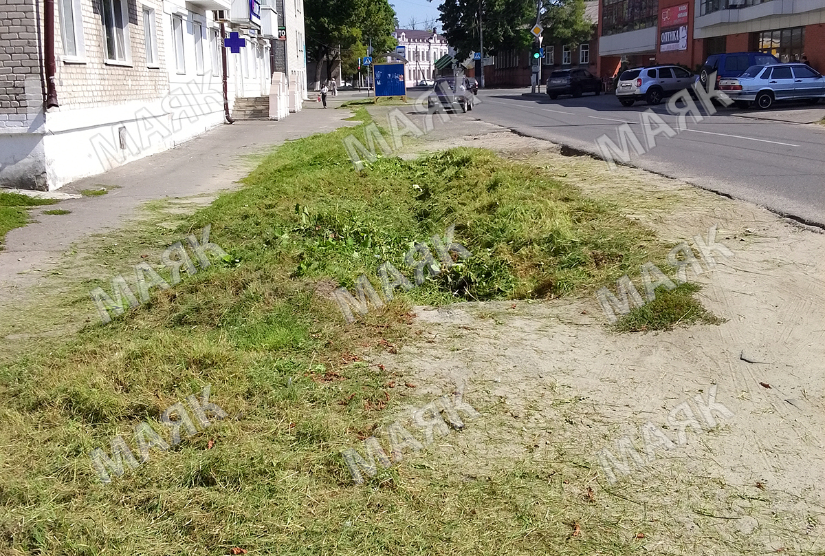 В Новозыбкове продолжаются работы по покосу травы