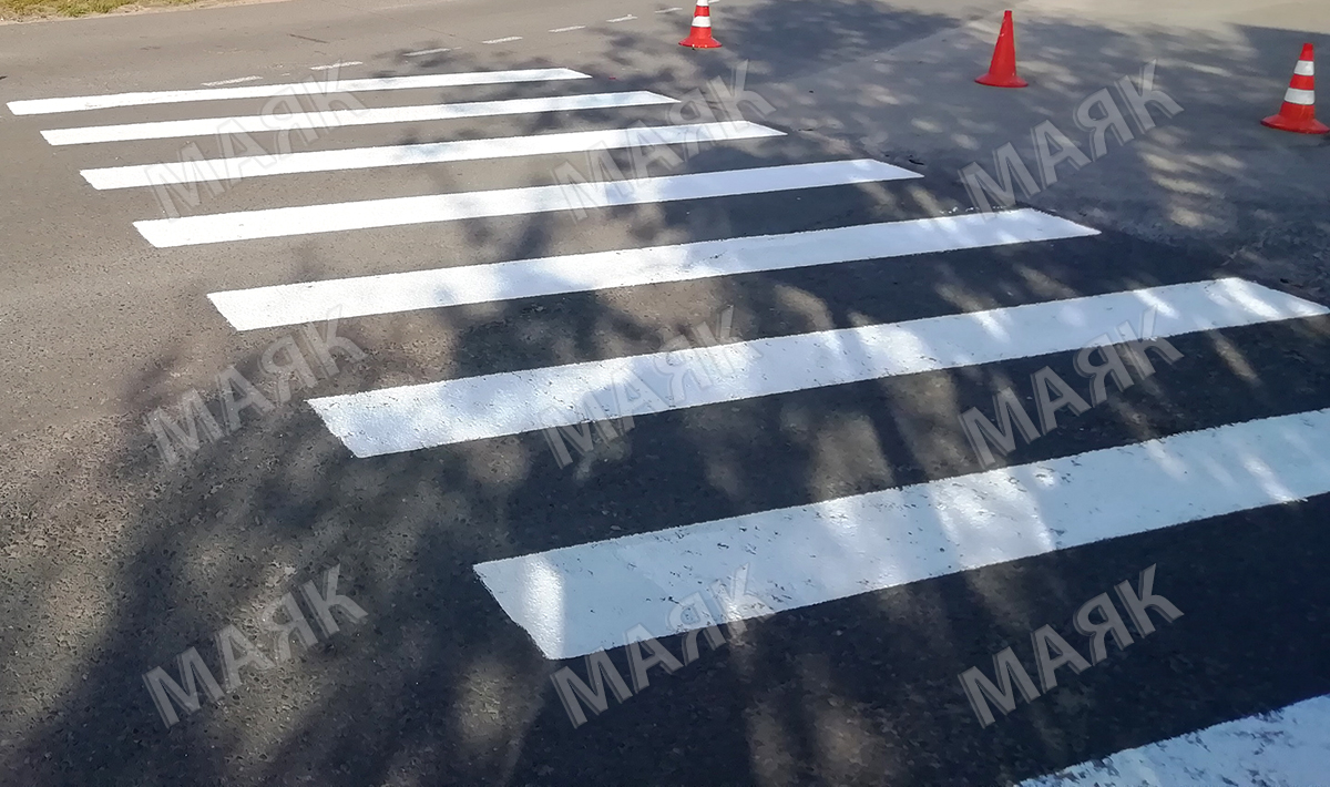 В Новозыбковском городском округе пройдет «Пешеход»