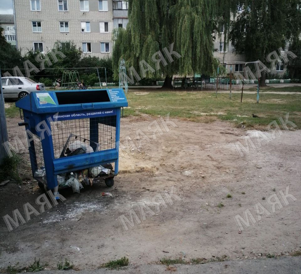 Еще пять стихийных свалок ликвидируют сегодня в Новозыбкове