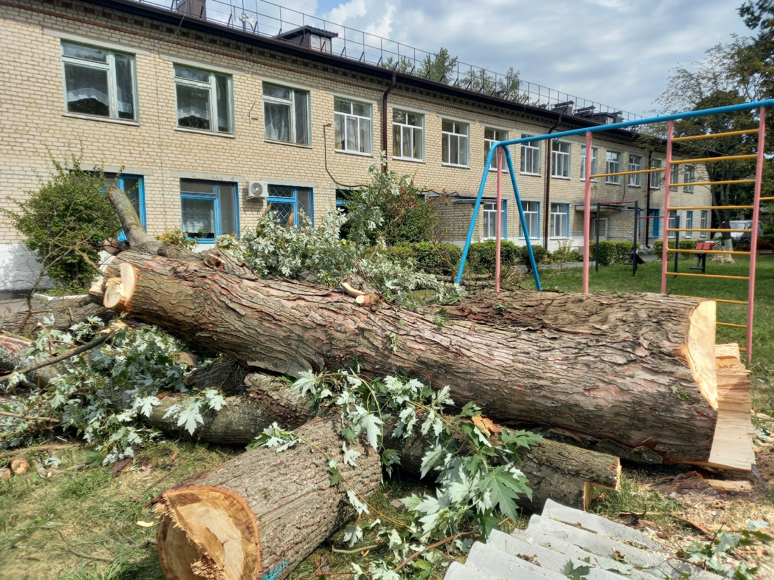 Новозыбковские общественники убрали большие деревья с территории соц. приюта