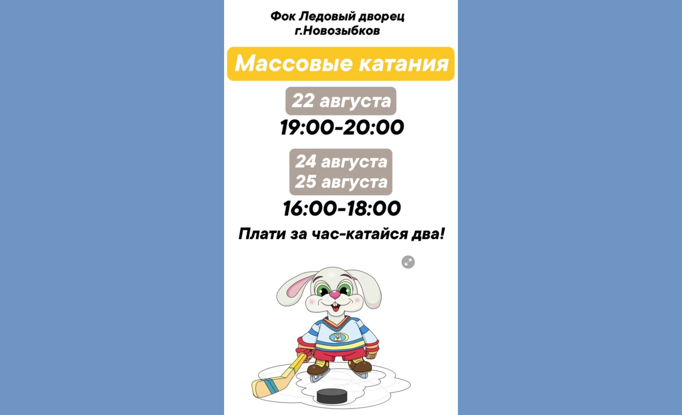 Новозыбковский Ледовый: плати за час — катайся два