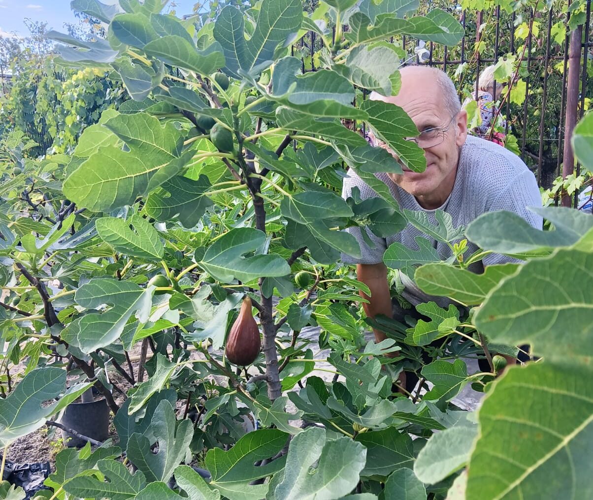 Новозыбковский садовод-любитель стал призером областного фотоконкурса