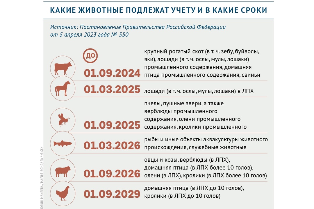 Специалисты Новозыбковской райветстанциии рассказали, какие животные в какие сроки подлежат учету