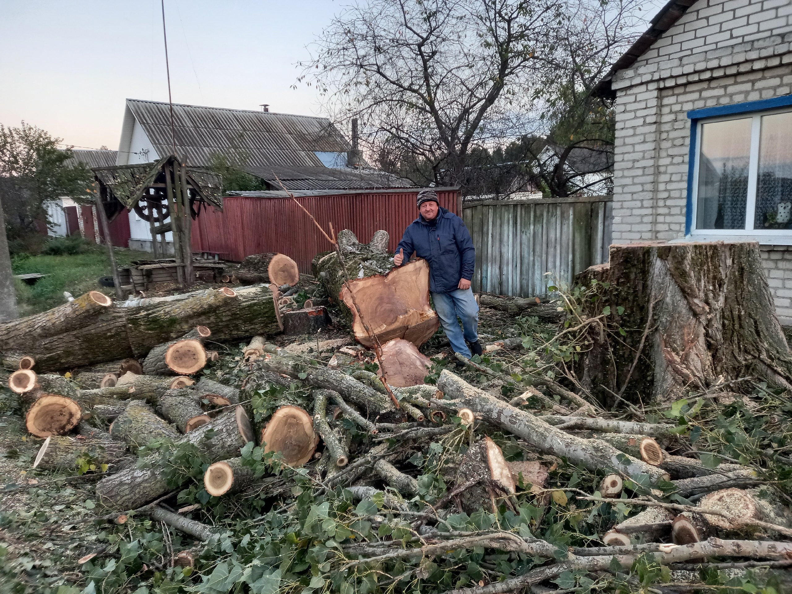 В Новозыбкове ликвидировали аварийное дерево