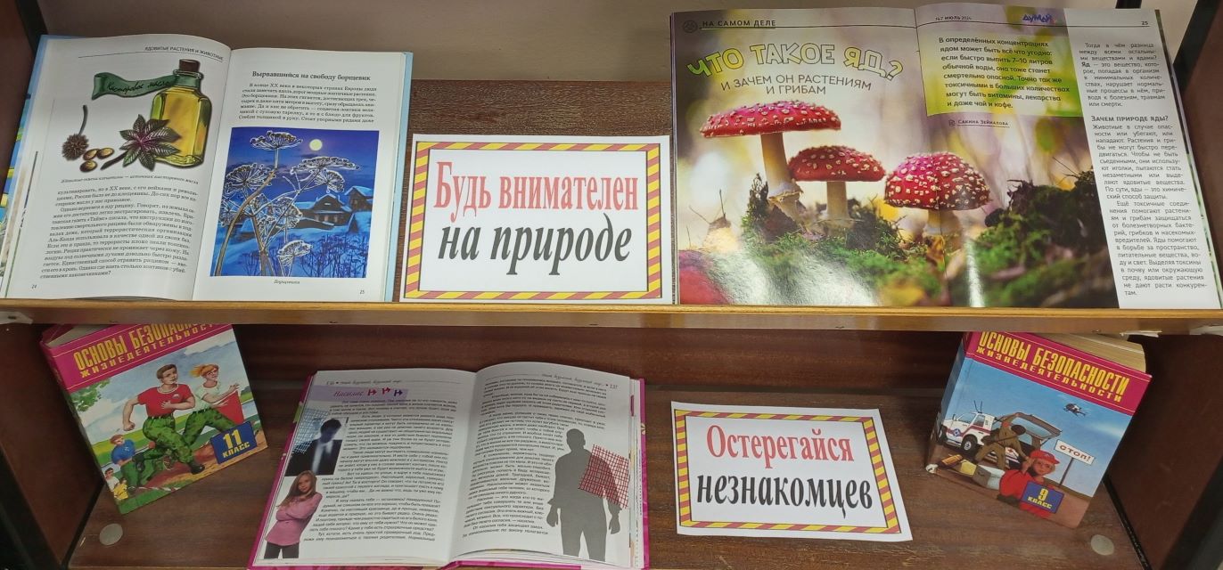 В детской библиотеке организовали выставку к Единому дню безопасности несовершеннолетних