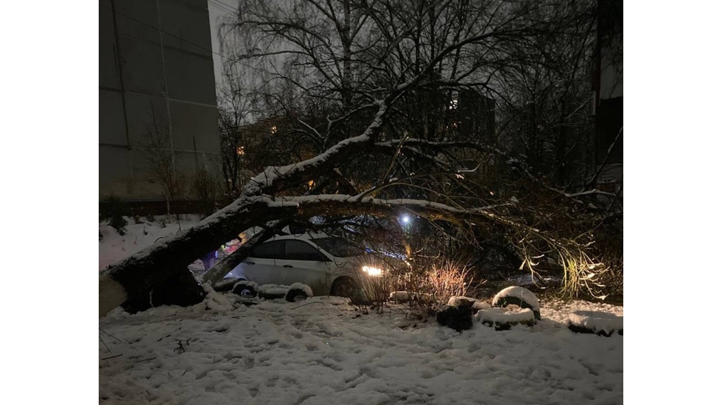 Более 20 поваленных во время снегопада деревьев убрали в Брянске