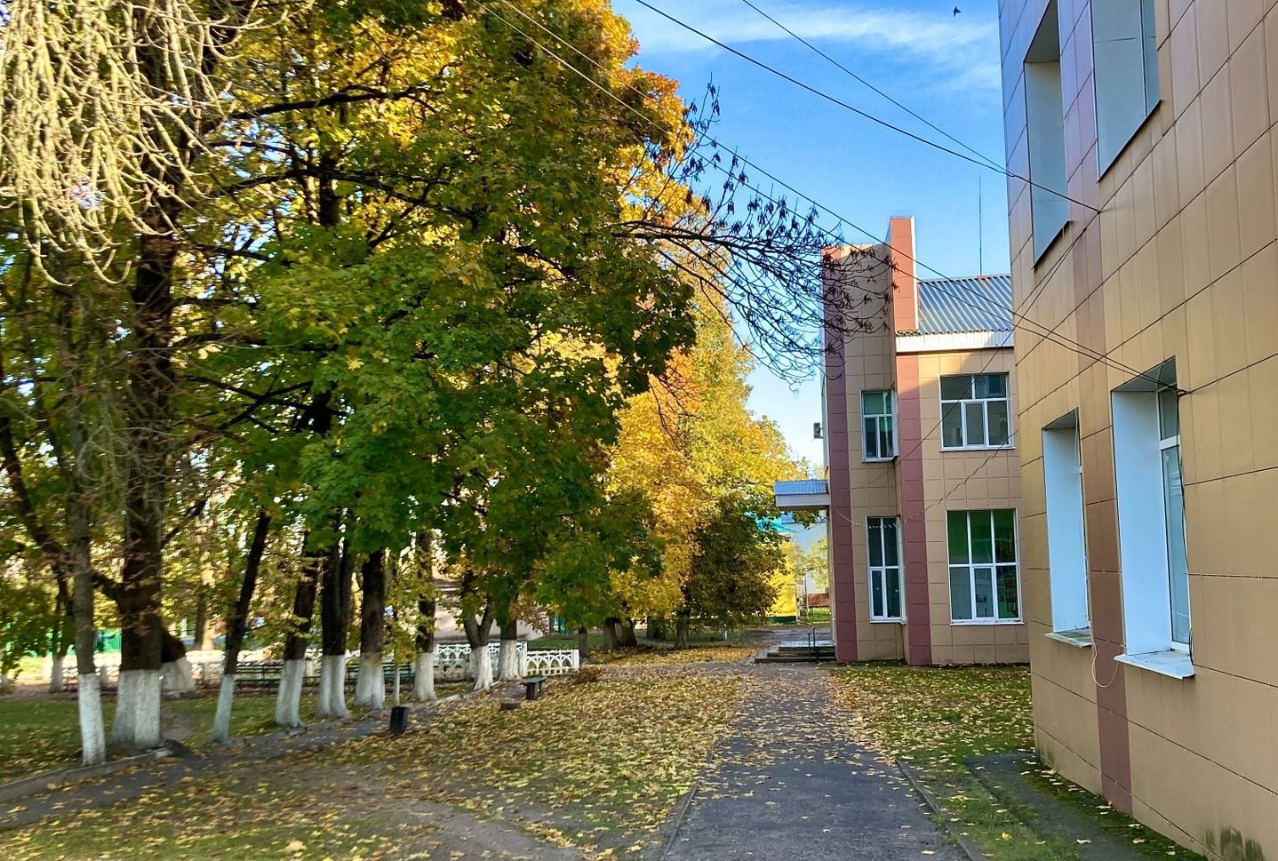 Заболеваемость в Новозыбкове пошла на спад