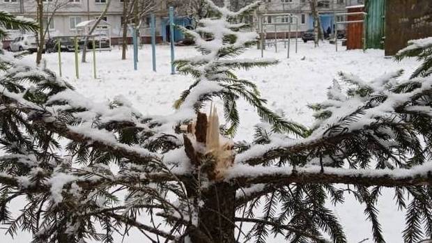 Новозыбковцев призывают не нарушать закон