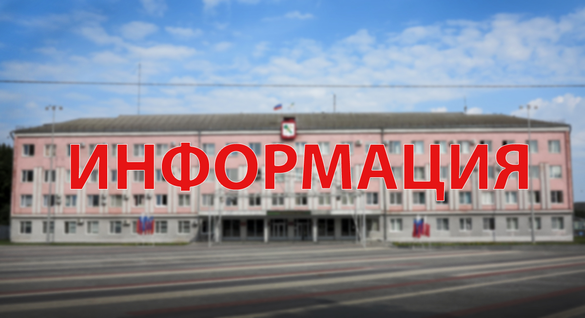 Новозыбковская городская администрация объявила прием заявлений на размещение ёлочных базаров