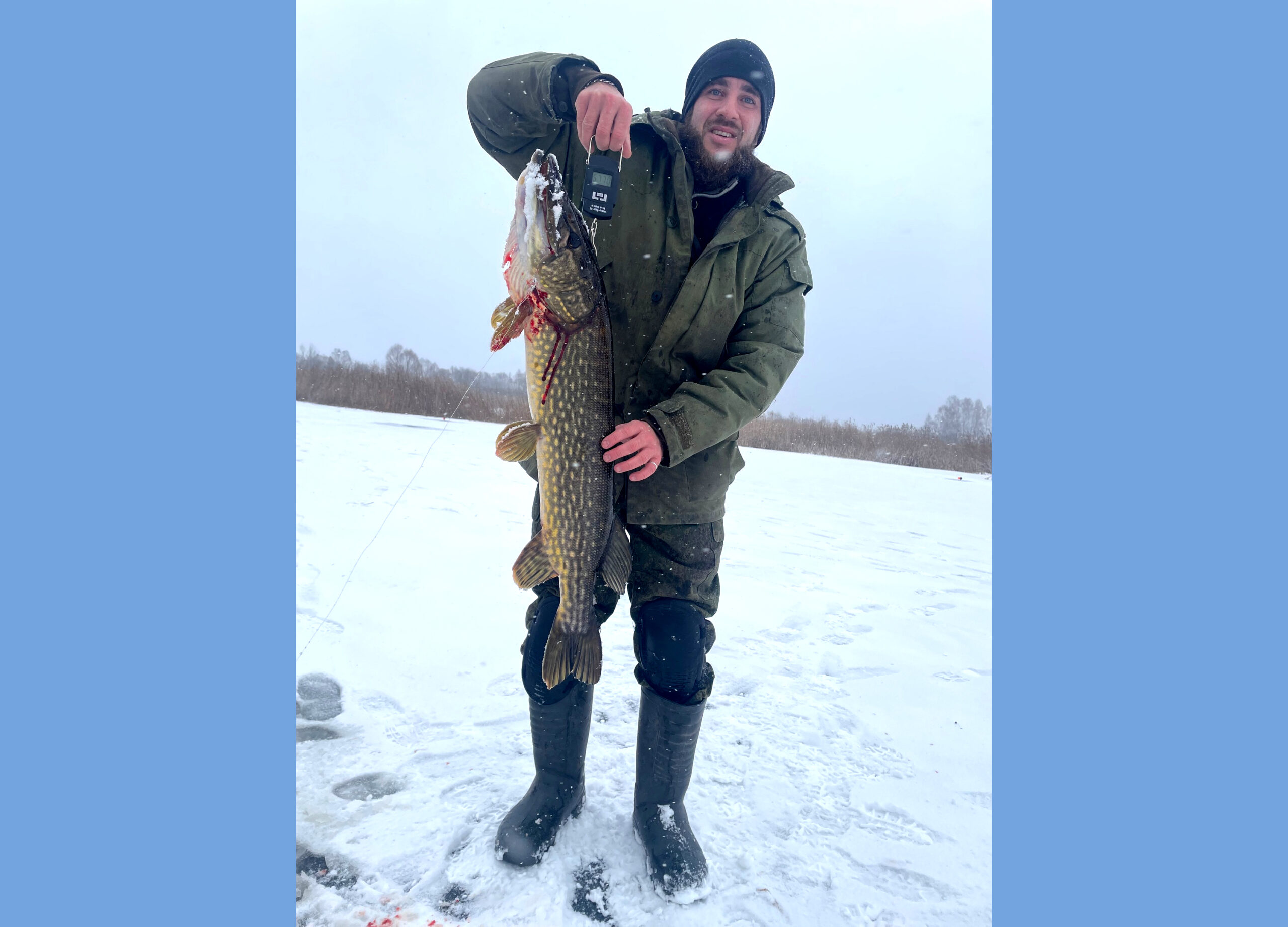 Небывалых размеров щуку поймал житель Новозыбкова на прошедших выходных