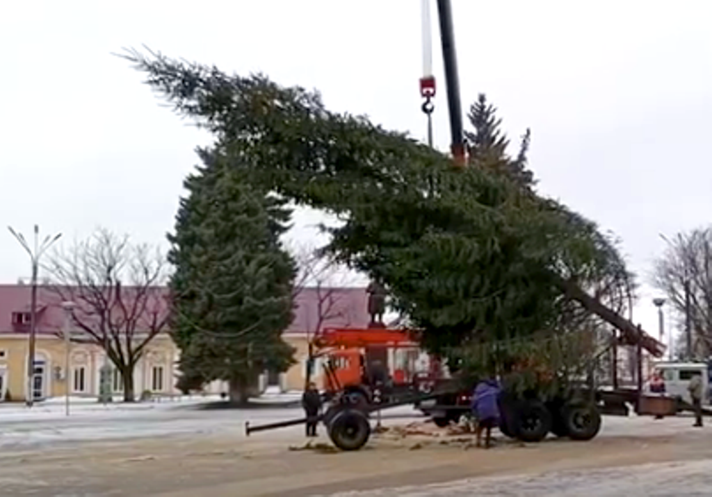 Главная красавица Новозыбкова: на центральной площади города устанавливают новогоднюю ель