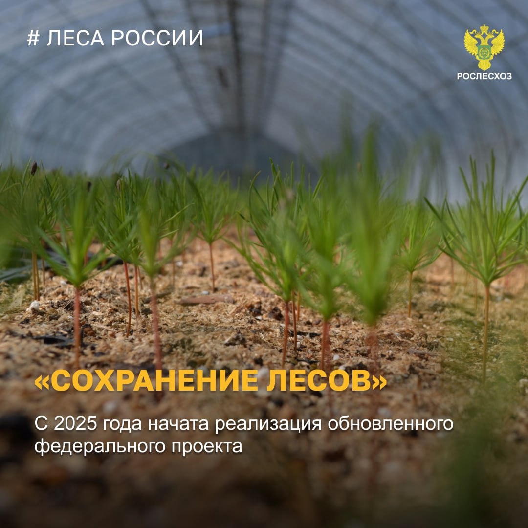 Рослесхоз приглашает новозыбковцев принять участие в конкурсе научных проектов