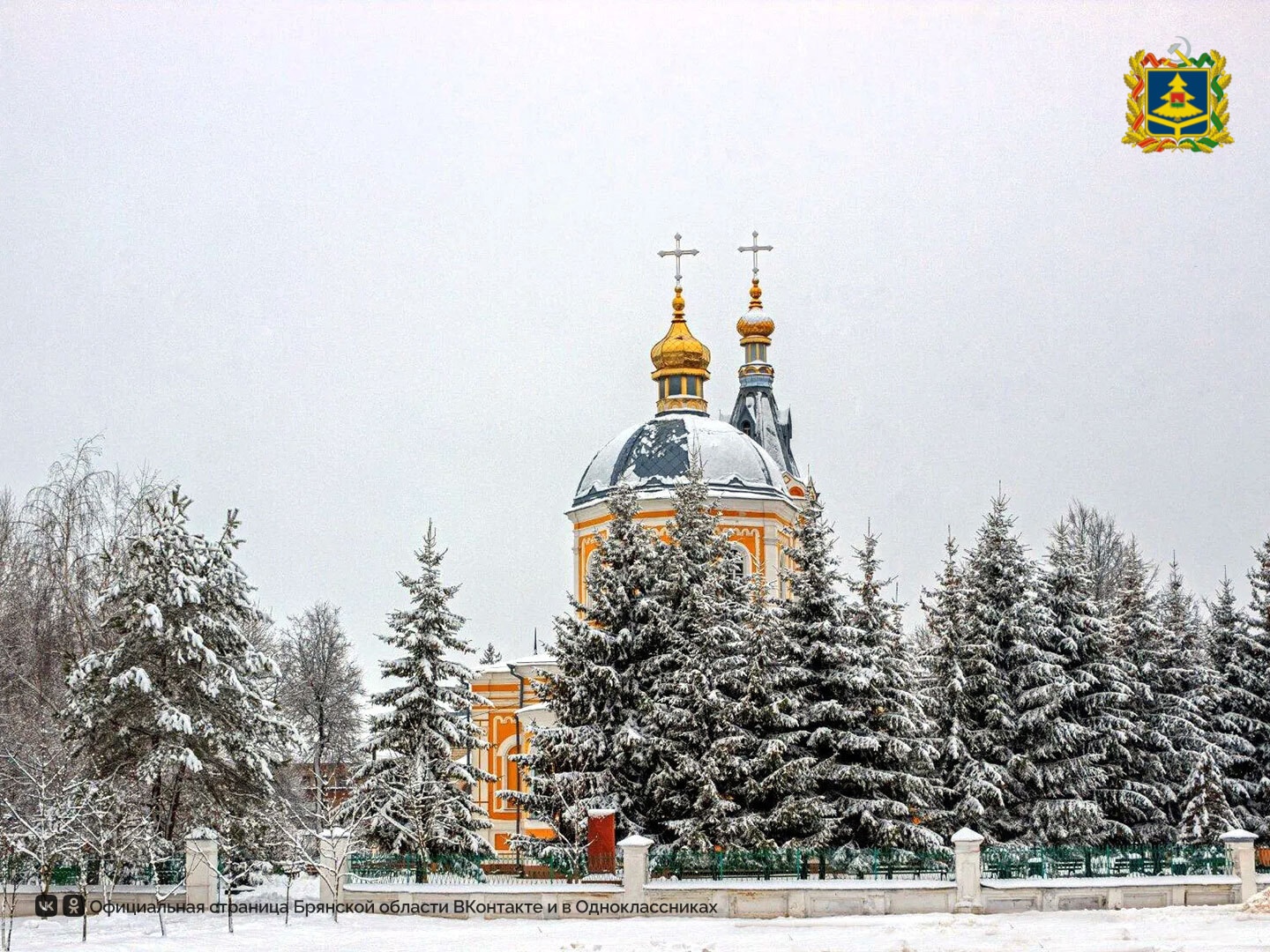 Новозыбковцы делятся фотографиями зимних красот в соцсетях