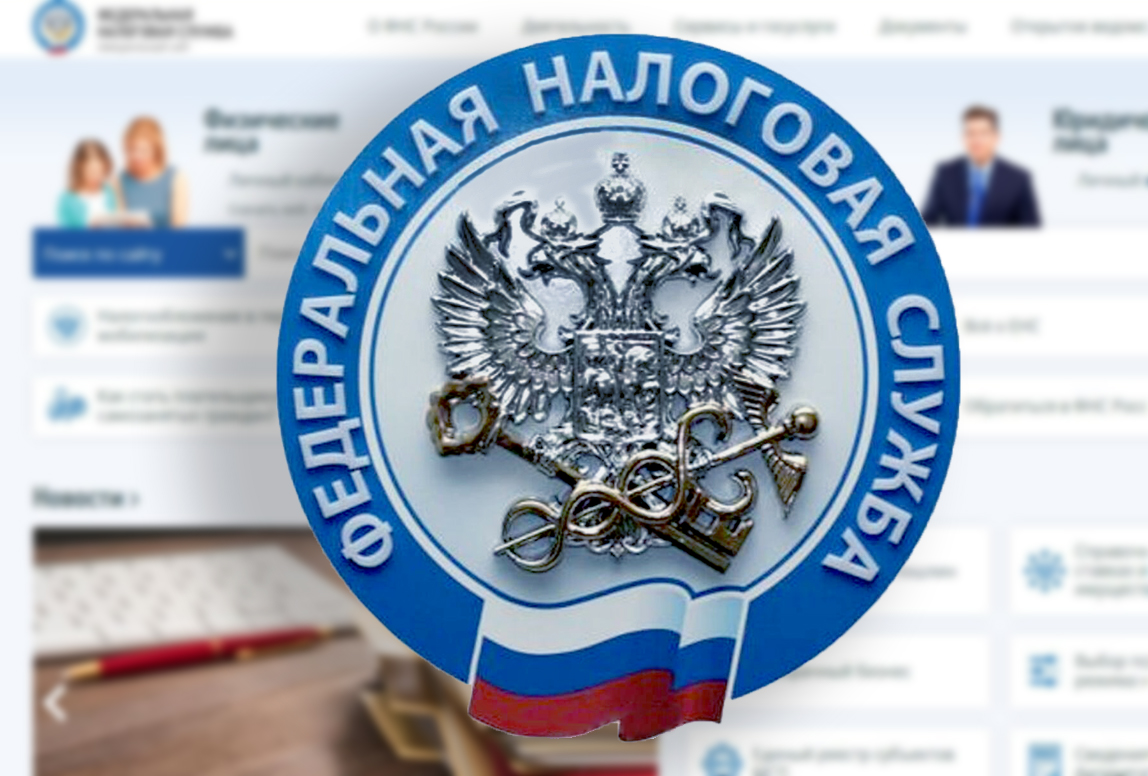 Где можно получить услуги налоговых органов в 2025 году