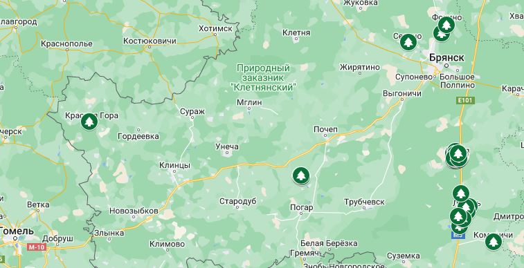 Новозыбковцам рассказали о ёлочном круговороте