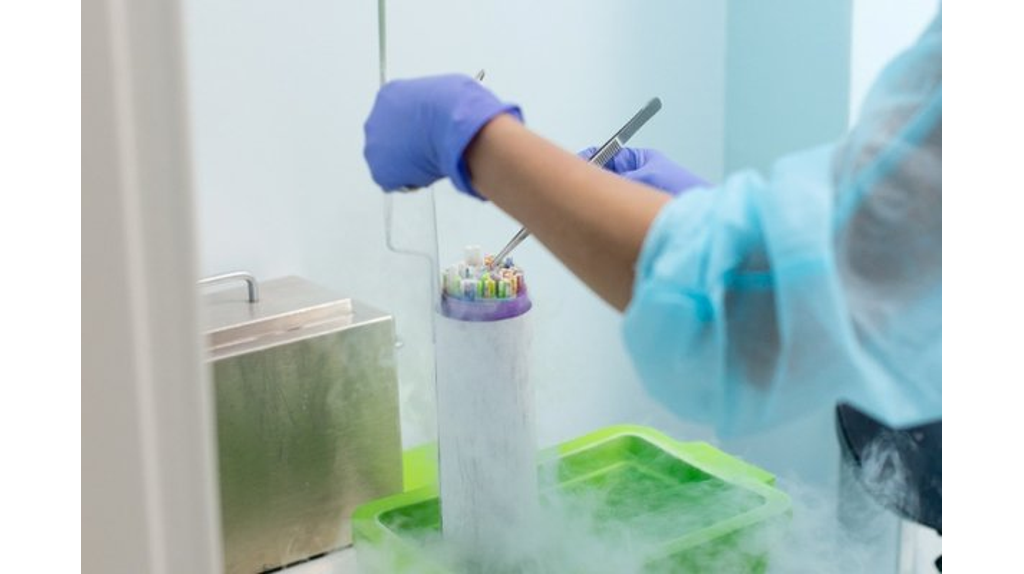 На Брянщине по нацпроекту увеличат число программ ЭКО