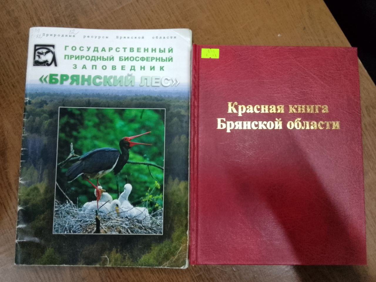 Юных новозыбковцев учили любить родной край