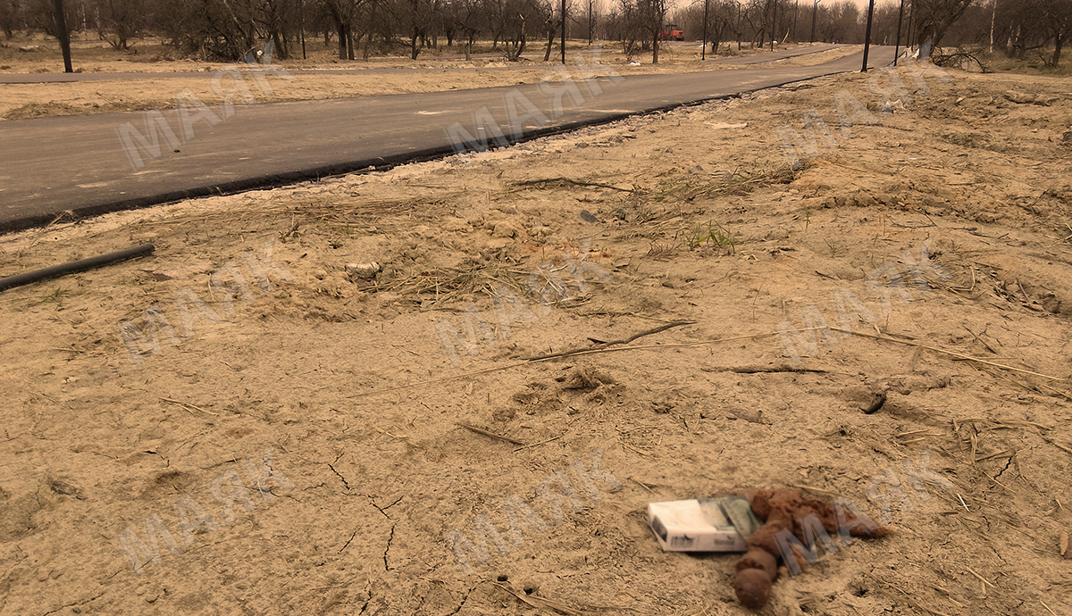 Новозыбковец Дед Данила о выгуле собак