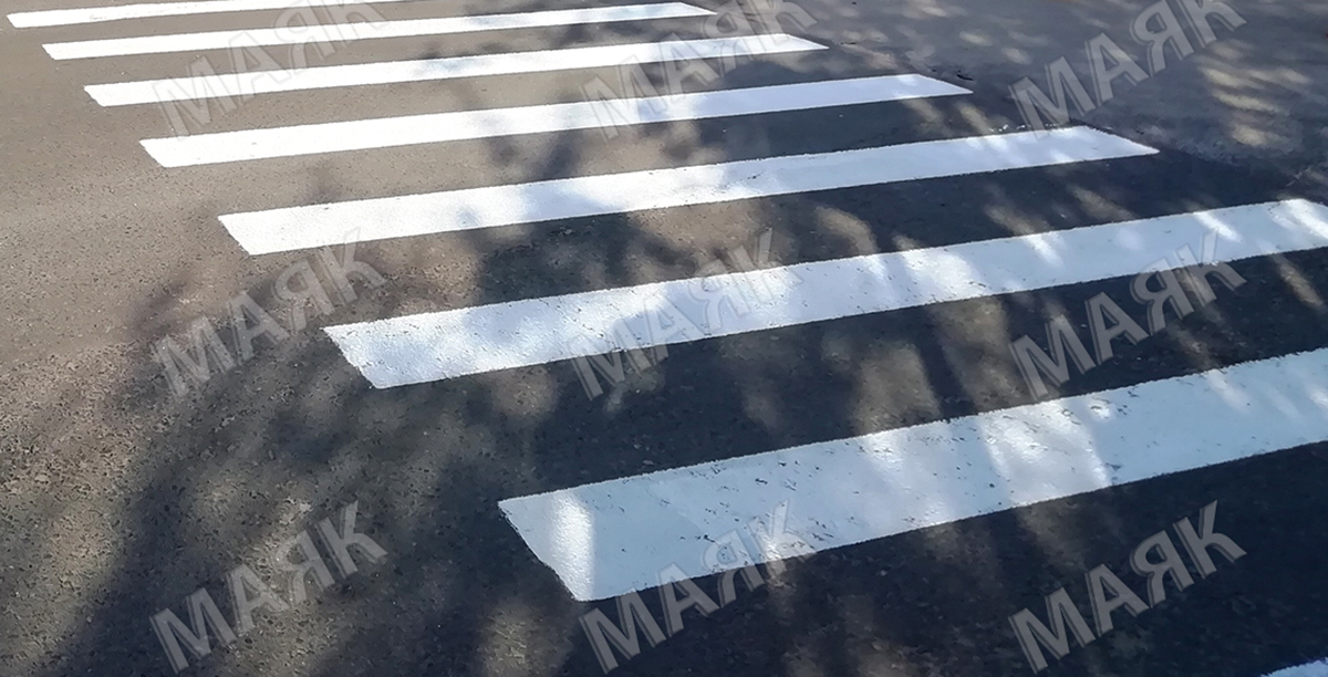 В Новозыбковском округе стартовала профилактическая акция «Пешеход»