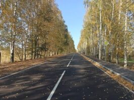 В Брянской области стартовал первый в этом году опрос общественного мнения о дорожном нацпроекте