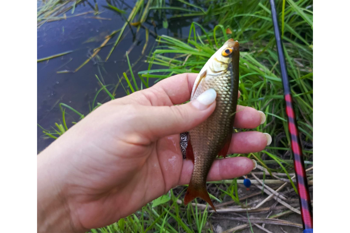 В Новозыбковском округе вступил в силу запрет на ловлю рыбы