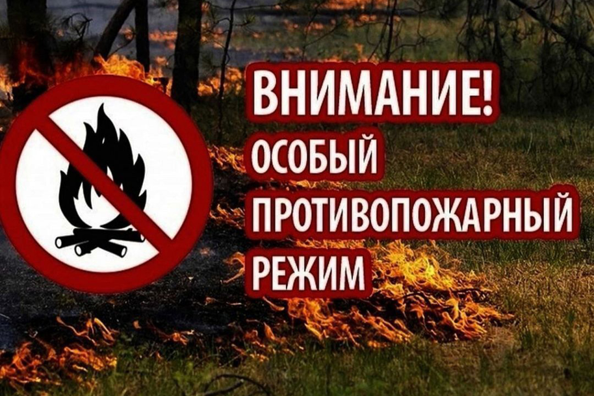 В Новозыбковских лесах введен противопожарный режим