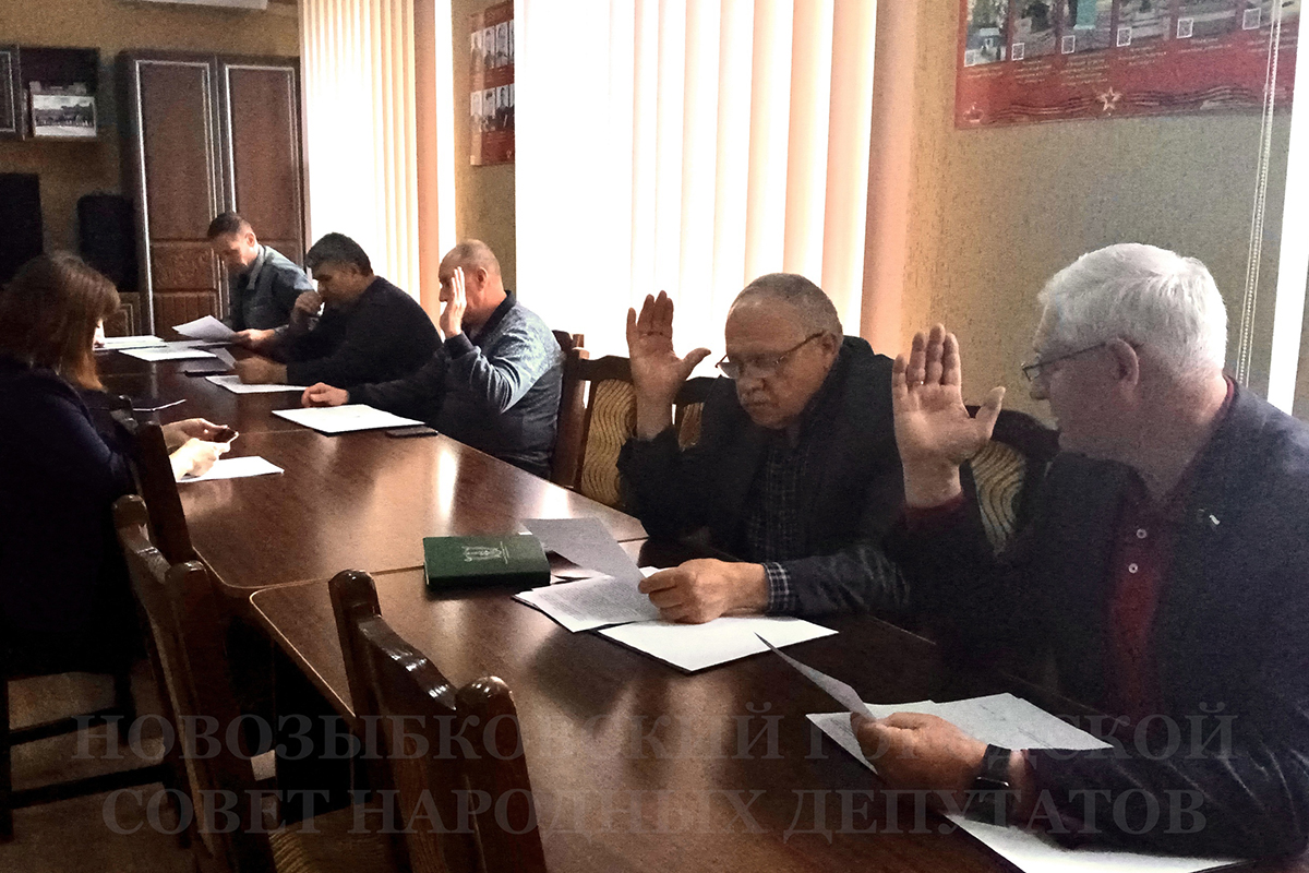 Новозыбковские депутаты прорабатывают вопрос обустройства площадок сбора мусора
