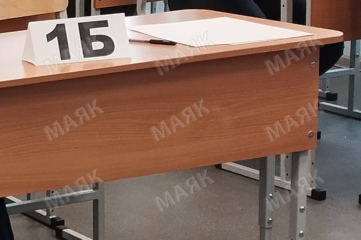 В Новозыбковском округе пишут пробный ЕГЭ