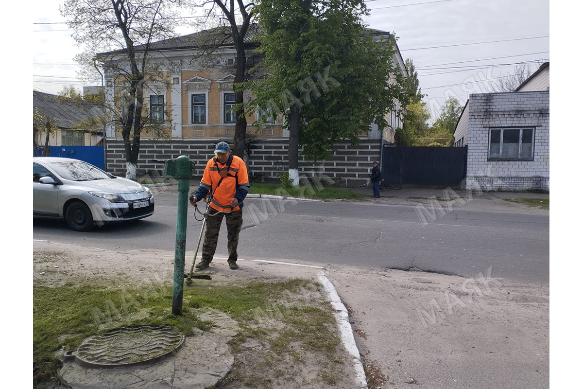 Новозыбковские коммунальщики вышли на борьбу с травой