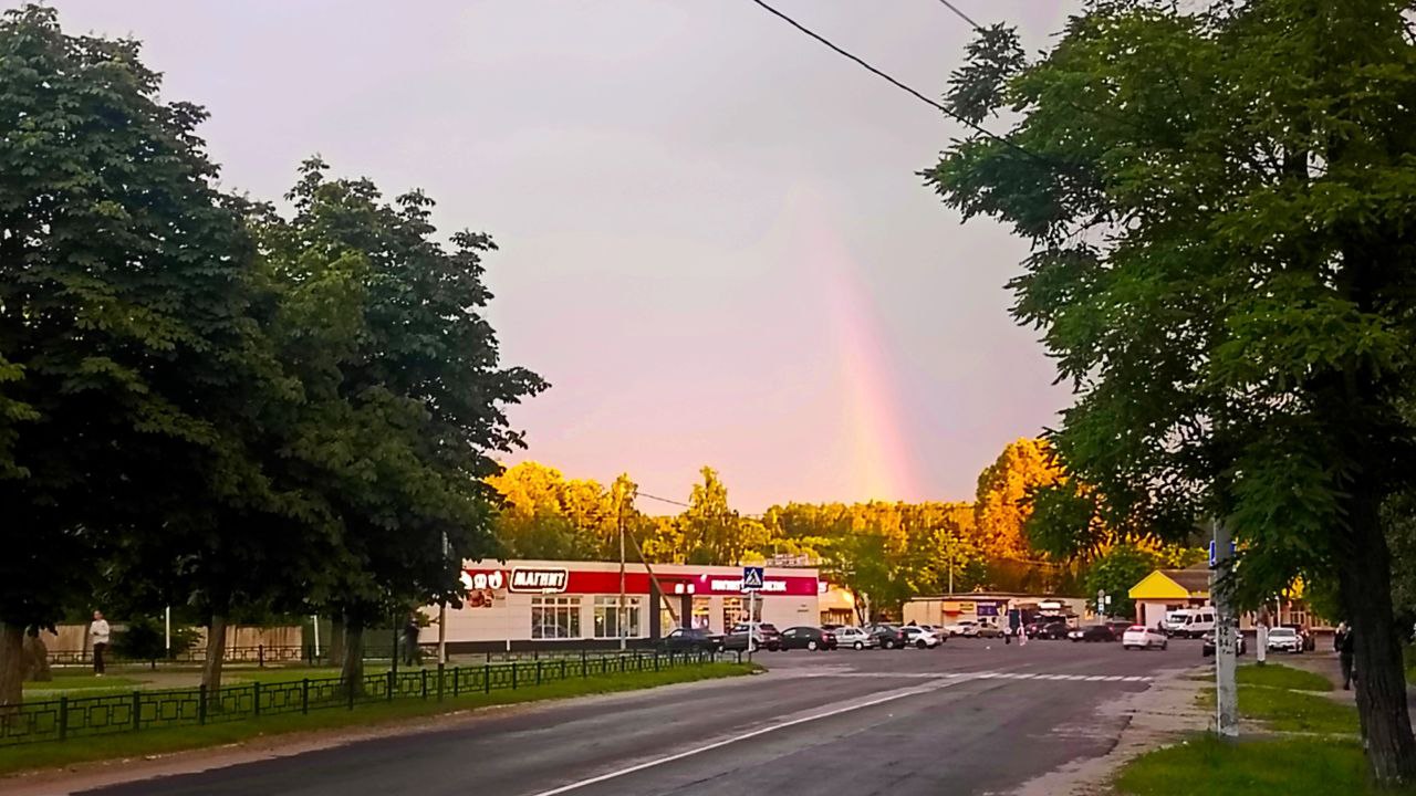Лето дарит жителям Новозыбковского городского округа яркие краски