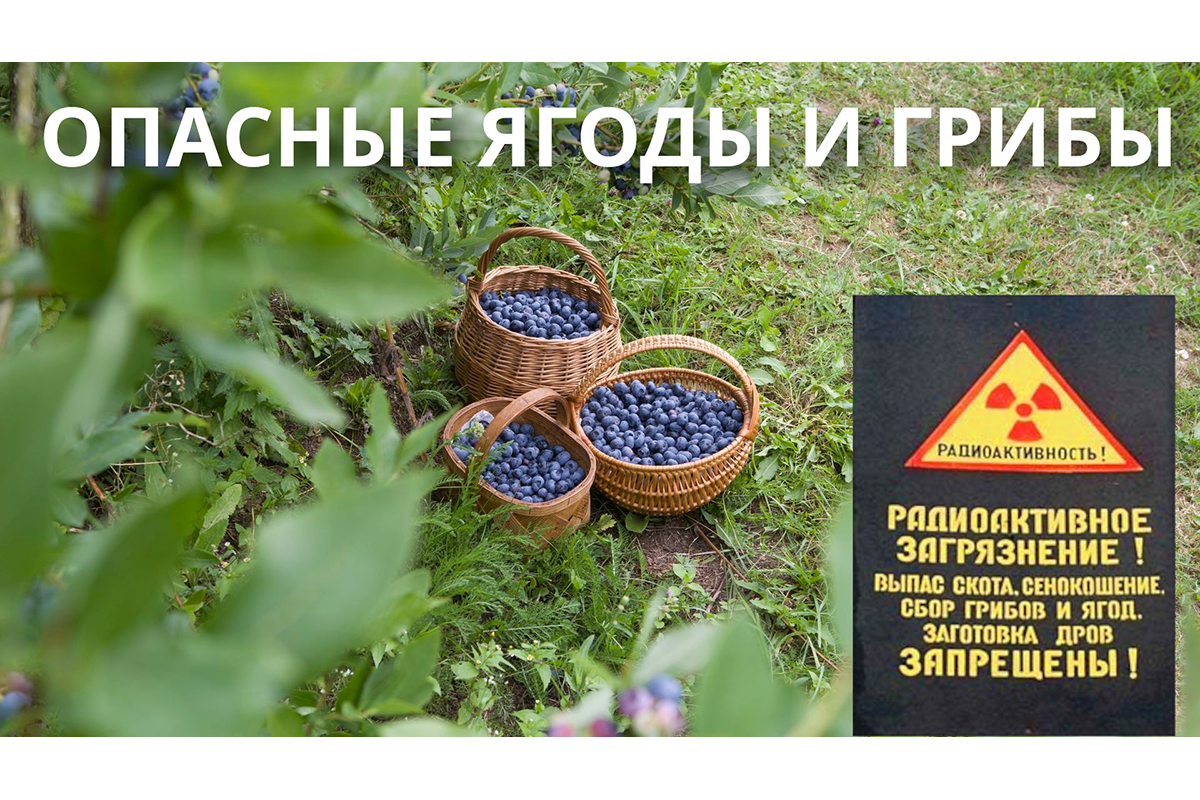 Новозыбковская райветстанция предупреждает об опасности