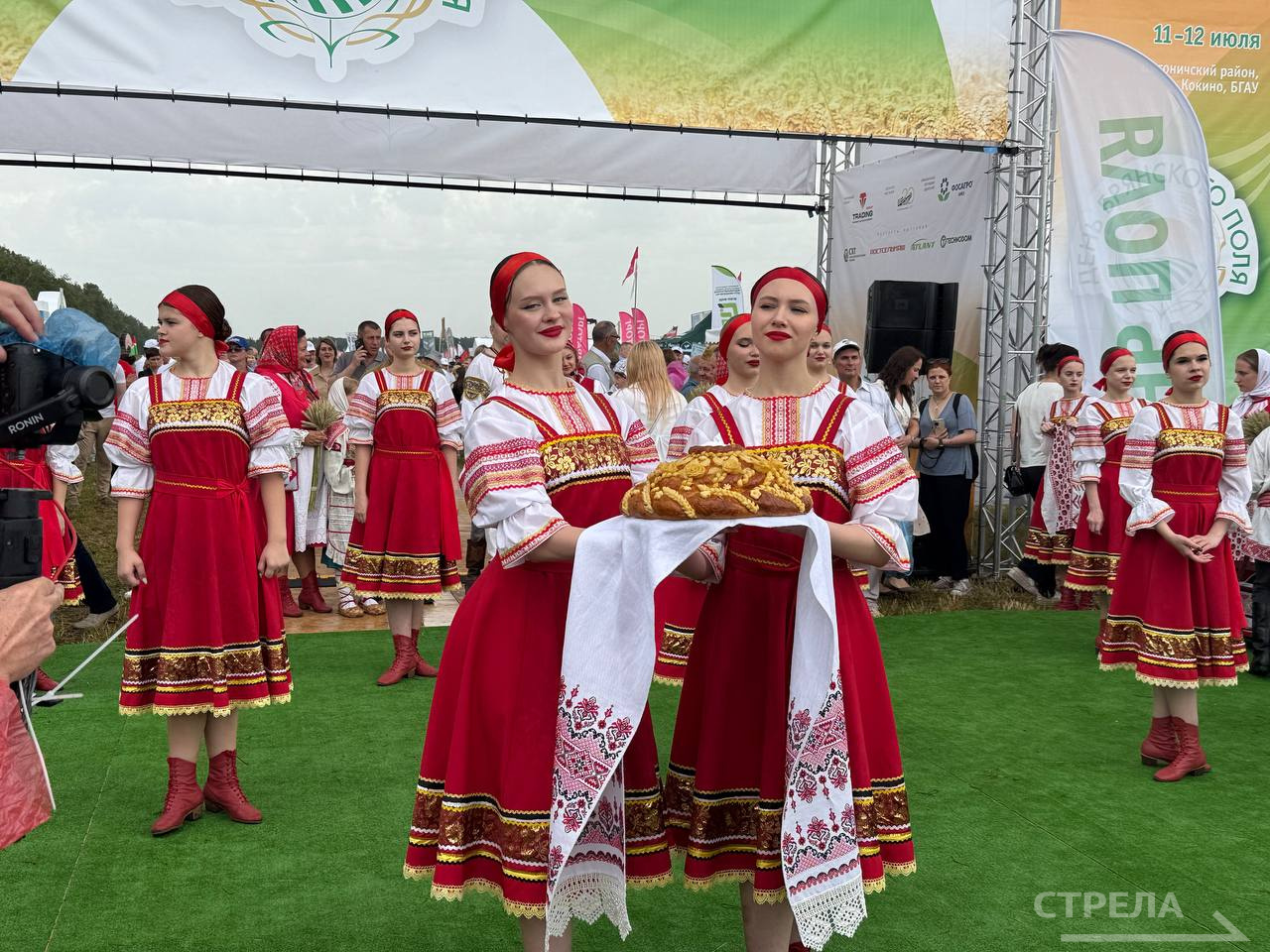 Под Брянском открылась ежегодная агропромышленная выставка «День поля»