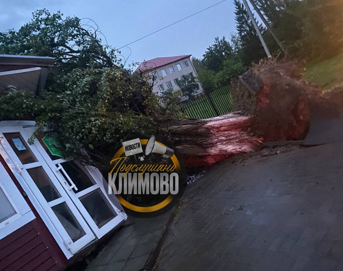 Глава Климовского района Брянской области Исаев обратился к жителям из-за урагана