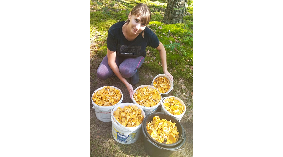 Жительница Новозыбкова поделилась фото грибного «улова»