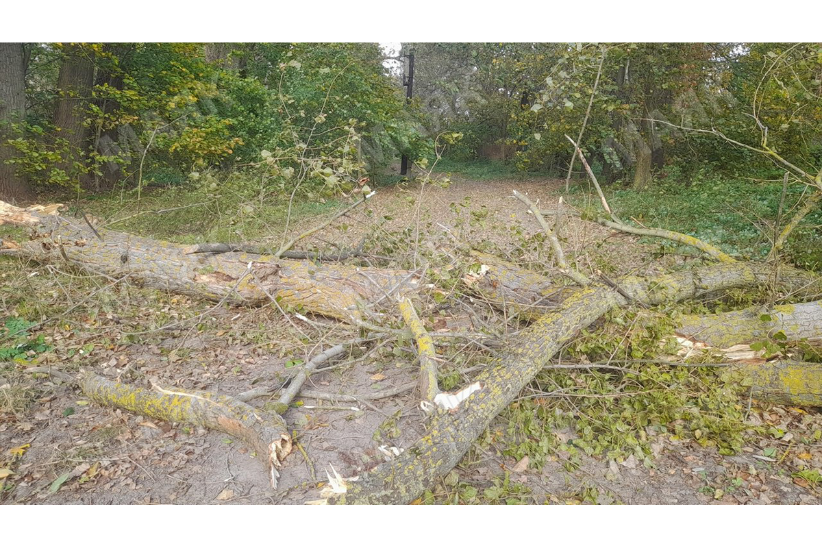 В селах Новозыбковского городского округа продолжаются работы по благоустройству