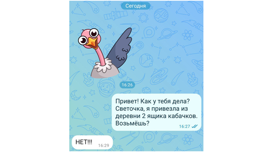 Новозыбковский «Маяк» рассказывает, как вкусно приготовить кабачки