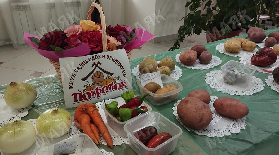 Новозыбковскому «Погребку» 30 лет