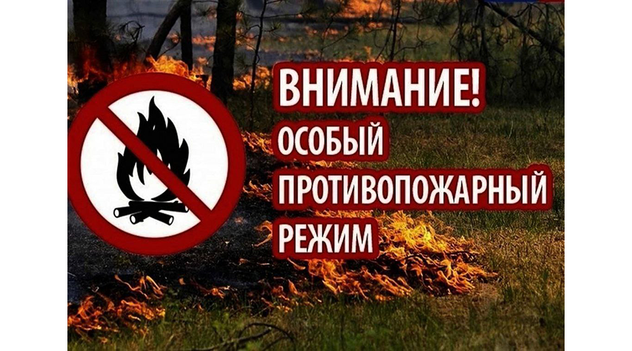 В Новозыбковском городском округе объявлен противопожарный режим